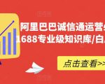 阿里巴巴诚信通运营必修课程，​1688专业级知识库/白皮书/全攻略