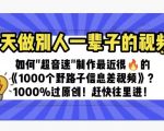 一天做完别一辈子的视频制作最近很火的《1000个野路子信息差》100%过原创【揭秘】