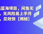 2023最强蓝海项目，闲鱼无货源电商，无风险易上手月赚10000，见效快【揭秘】