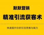 默默营销·精准引流+私域营销+逆袭赚钱（三件套）快速提升你的赚钱认知与营销思维