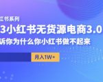 阿本小红书无货源电商3.0，告诉你为什么你小红书做不起来