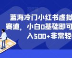 蓝海冷门小红书虚拟资料最新赛道，小白0基础即可操作，日入500+非常轻松【揭秘】