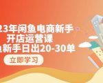 2023年闲鱼电商新手开店运营课：闲鱼新手日出20-30单（18节-实战干货）