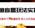 独家首发咸鱼盲盒玩法实操，半个月批量起号单人15万收益【揭秘】