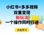 多多视频+小红书，双重变现新玩法，可同时进行【揭秘】