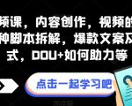 全案视频课，内容创作，视频的底层逻辑，各种脚本拆解，爆款文案及视频形式，DOU+如何助力等