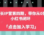 自媒体成长IP营第四期，带你从0到1跑通小红书闭环