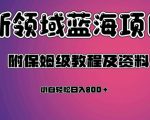 虚拟资源蓝海领域新项目，轻松日入800＋，附保姆级教程及资料