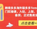 跨境多多海外版多多Temu12天快速入门实操课，入驻、上架、审版、核价、备货、正式售卖全流程