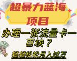 超暴力蓝海项目，办理一张流量卡一百块？轻轻松松月入过万，保姆级教程【揭秘】