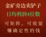 金矿旁边卖铲子，赚确定性的钱，可矩阵，可收徒，日均利润4位数【揭秘】