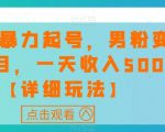 快手暴力起号，男粉变现项目，一天收入500+【详细玩法】【揭秘】