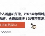 实体店个人流量IP打造，2023实体同城引流获客必听，含直播玩法（75节完整版）