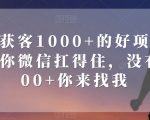 单日获客1000+的好项目，只要你微信扛得住，没有1000+你来找我【揭秘】