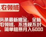 AI头条最新掘金，全新三农领域，不违规不封号，简单粗暴月入6000＋【揭秘】