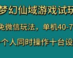 梦幻仙域游戏试玩，免微信玩法，单机40-70，一个人同时操作十台设备【揭秘】