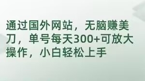 通过国外网站，无脑赚美刀，单号每天300+可放大操作，小白轻松上手【揭秘】