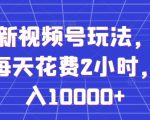 全网最新视频号玩法，正能量赛道，每天花费2小时，躺着月入10000+【揭秘】