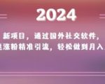 2024新项目，通过国外社交软件，快速涨粉精准引流，轻松做到月入上万【揭秘】