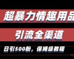 最新情趣项目引流全渠道，自带高流量，保姆级教程，轻松破百单，日引500+粉【揭秘】