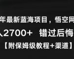 2024年最新蓝海项目，悟空网盘拉新，日入2700+错过后悔一年【附保姆级教程+渠道】【揭秘】