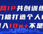 互联网IP共创训练课，零门槛零基础打造个人IP，月入10w+不是梦【揭秘】