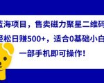 蓝海项目，售卖磁力聚星二维码，轻松日赚500+，适合0基础小白，一部手机即可操作【揭秘】