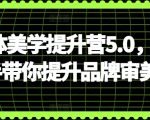 自媒体美学提升营5.0，手把手带你提升品牌审美