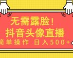 无需露脸，Ai头像直播项目，简单操作日入500+【揭秘】