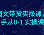 Ai图文带货实操课，新手从0-1 实操课