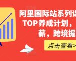 阿里国际站系列课，运营TOP养成计划，升职加薪，跨境掘金