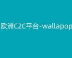 欧洲C2C平台-wallapop-kim跨境电商教程