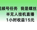 视频号任务，我是螺丝王， 半无人挂机1小时收益15元【揭秘】