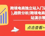 跨境电商独立站入门课(2小时精华),趋势分析/跨境电商前世今生/建站演示等