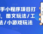 抖音快手小程序项目打造课程，图文玩法/工具玩法/小游戏玩法