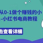 9节课带你从0-1做个赚钱的小红书博主-小红书电商教程