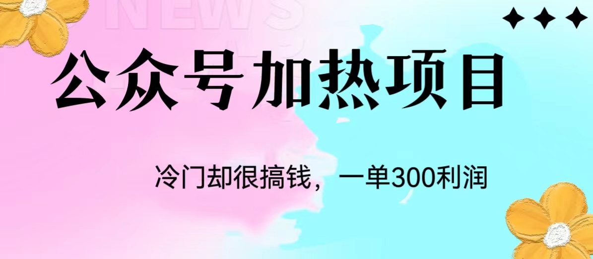 冷门公众号加热项目，每天1-2小时，一单100-300+网赚项目-副业赚钱-互联网创业-资源整合南巷部落