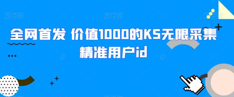 全网首发 价值1000的KS无限采集精准用户id网赚项目-副业赚钱-互联网创业-资源整合南巷部落